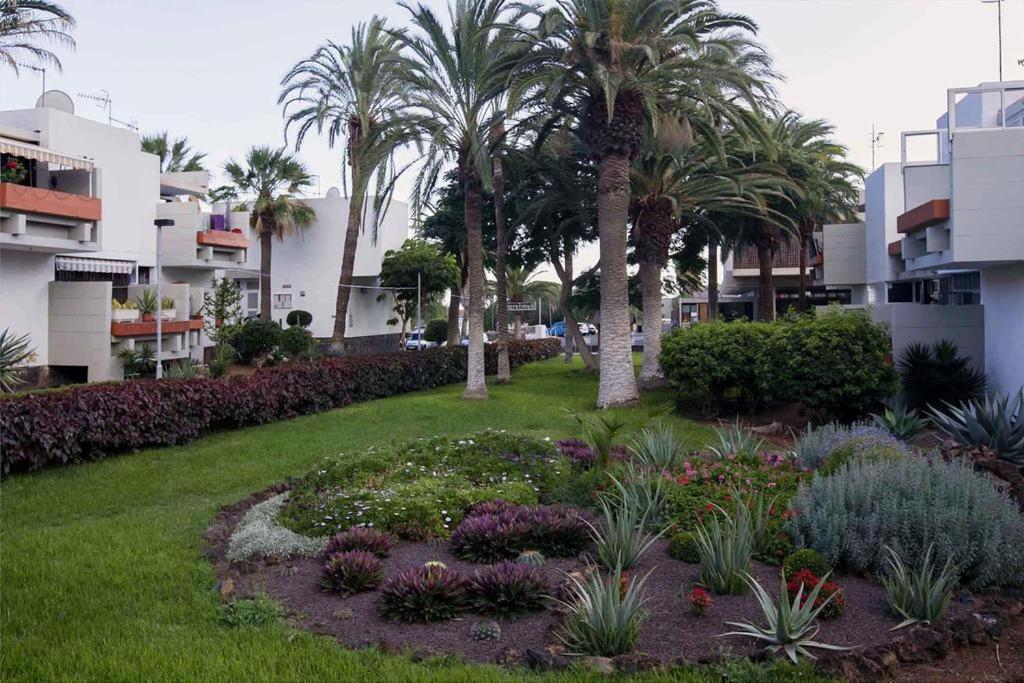 Ferienwohnung Apartament Frontera-Primavera Costa Del Silencio Exterior foto
